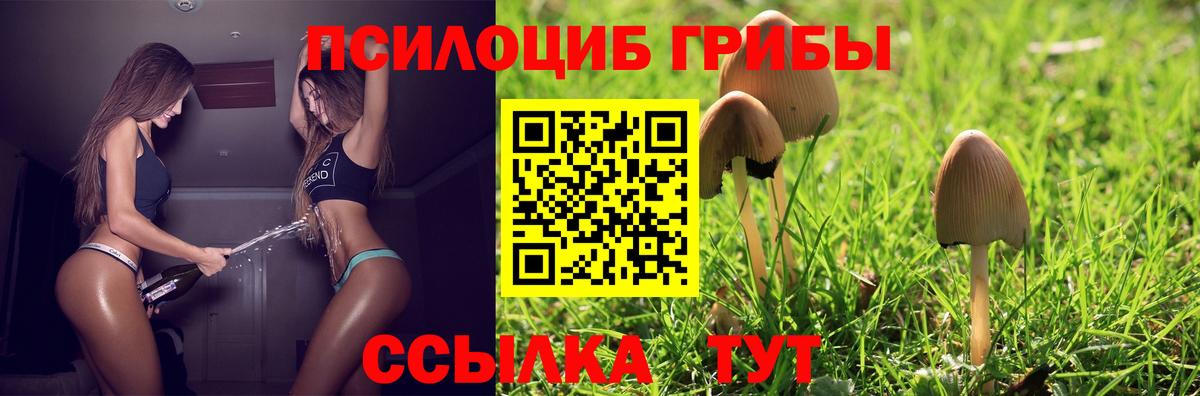 Псилоцибиновые грибы прущие грибы Ханты-Мансийск